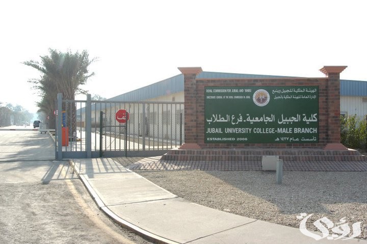نسب قبول كلية الجبيل الجامعية