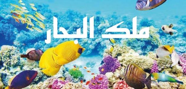 500+ أسماء مطاعم سمك عربي وانجليزي 2026 1 أسماء مطاعم سمك
