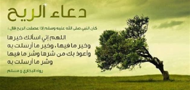 15+ دعاء الغبار والرياح والأتربة مكتوب 1 دعاء الغبار والرياح والأتربة