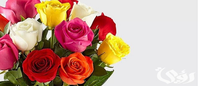30+ أسماء بنات من الصحابة ومعانيها 5 30+ أسماء بنات من الصحابة ومعانيها