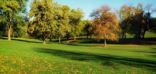 اذاعة مدرسية عن لنجعلها خضراء 1 اذاعة مدرسية عن لنجعلها خضراء