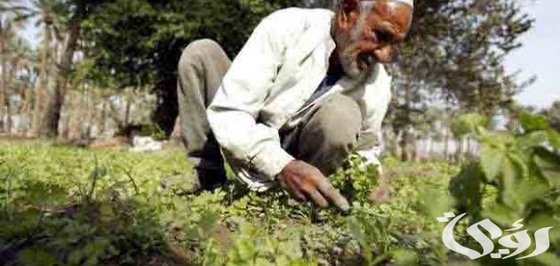 موضوع تعبير عن دور الفلاح في المجتمع