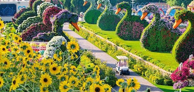 بحث عن الحدائق والزهور 1 بحث عن الحدائق والزهور