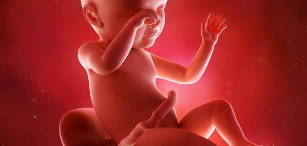 300+ دعاء لزيادة جمال الجنين مكتوب 1 دعاء لزيادة وزن الجنين