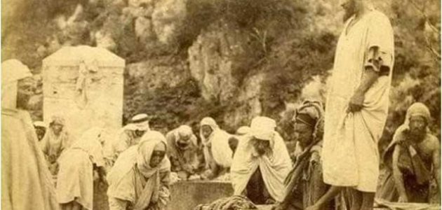 طريقة معرفة شجرة العائلة في الجزائر 2026 1 معرفة شجرة العائلة في الجزائر