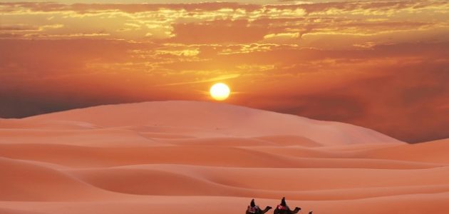ما هو اصل عائلة المفرجي من أي قبيلة 1 أصول عائلة المفرجي من أي قبيلة؟