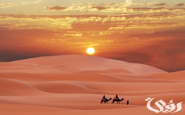 ما هو اصل عائلة المفرجي من أي قبيلة