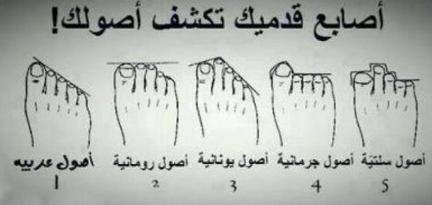 شرح خطوات معرفة النسب والاصل من أصابع القدم 1 شرح خطوات معرفة النسب من أصابع القدم