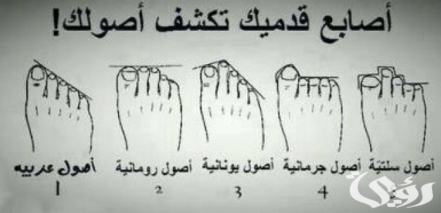 شرح خطوات معرفة النسب والاصل من أصابع القدم