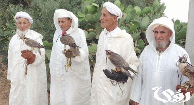 قبيلة القواسم