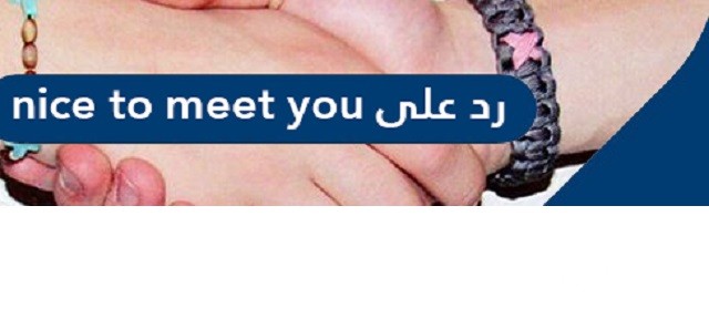 الرد على nice to meet you