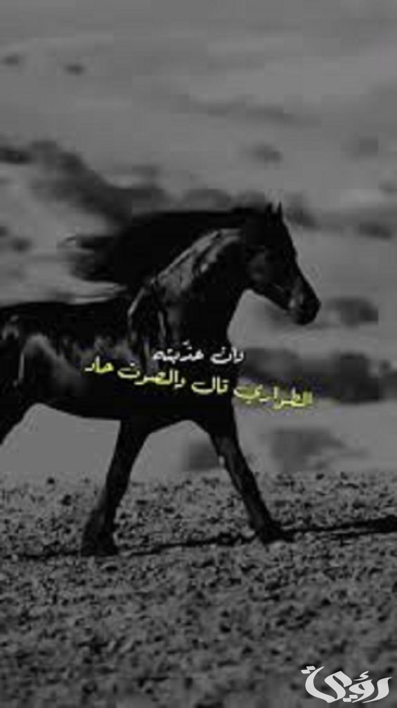 كلمات شيلة لا تحسبوني لبست من الليالي السواد