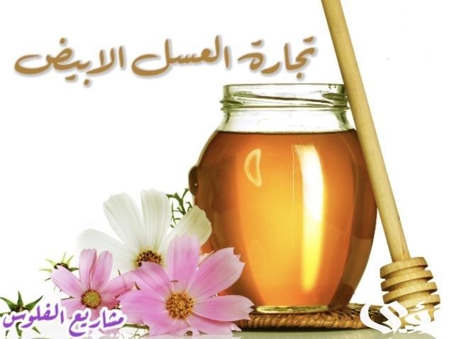 أفضل 10 مشاريع تجارة مربحة في السعودية مضمونة
