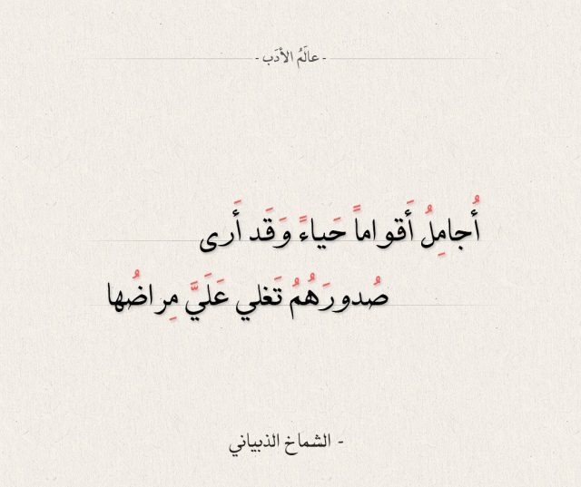 أبيات شعر في قلة الحياء تعبر عن فقدان الأخلاق