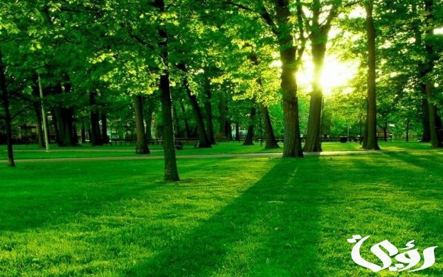 أجمل ما قيل من عبارات عن الريف والطبيعة الخضراء