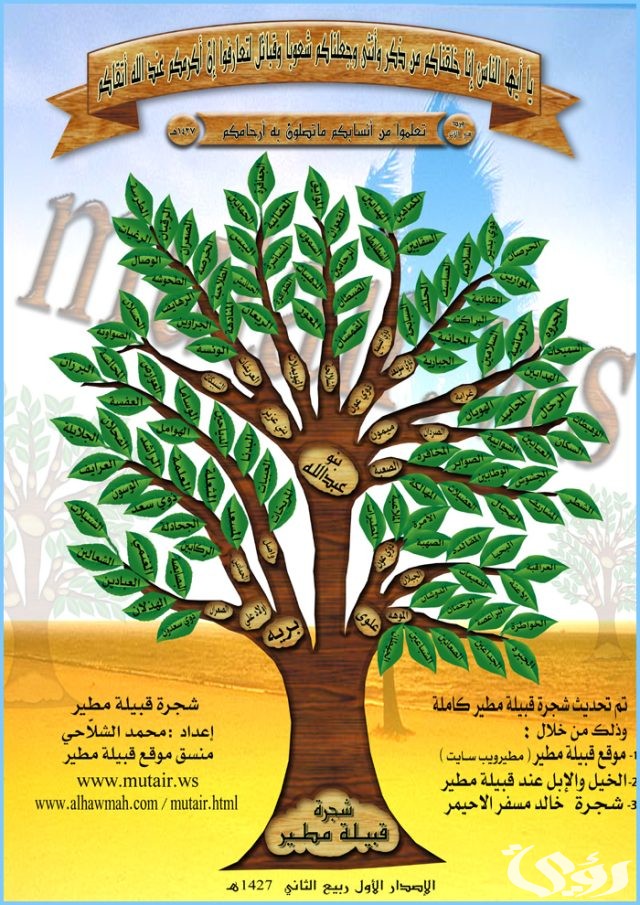 قبيلة مطير كم فخذ؟ وما هو اصلهم