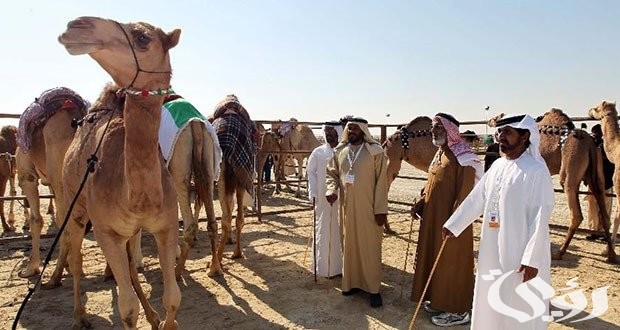 أفخاذ قبيلة حرب بالكامل؛ نسب قبيلة حرب وفروعها 5 أفخاذ قبيلة حرب بالكامل؛ نسب قبيلة حرب وفروعها