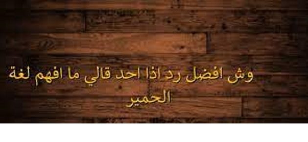 وش افضل رد إذا أحد قالي ما أفهم لغة الحمير 1 أفضل الردود إذا أحد قالي ما أفهم لغة الحمير