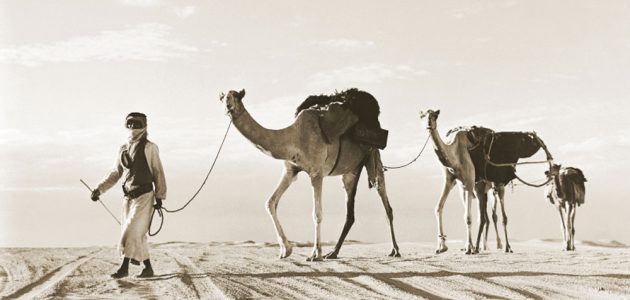 أكبر قبائل الإمارات عددًا 1 أكبر قبائل الإمارات