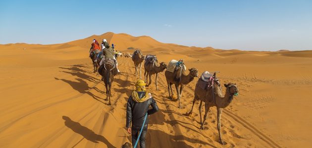 الحسيني وش يرجع؛ أصول الحسيني بالرياض وعمان 1 الحسيني وش يرجع