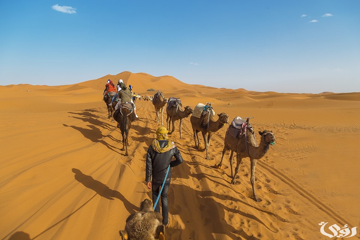 الحسيني وش يرجع؛ أصول الحسيني بالرياض وعمان