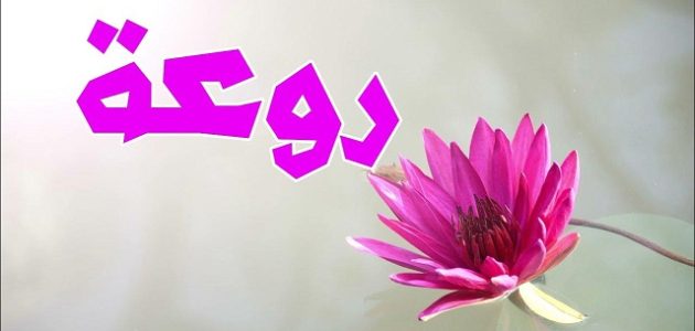 الرد على كلمة روعة من خلال 59 عبارة 1 الرد على كلمة روعة من خلال 59 عبارة