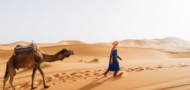 الرويلي وش يرجعون؛ ما هو أصل عائلة الرويلي من وين 1 الرويلي وش يرجعون