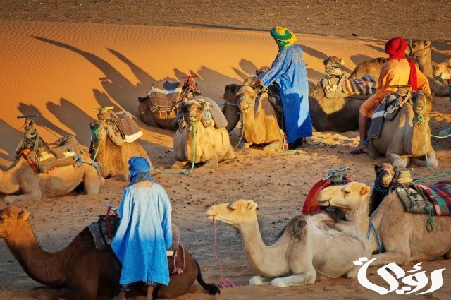 الغويري وش يرجع 
