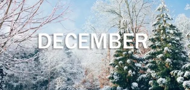 ديسمبر شهر كم بالميلادي والهجري 2026 December 1 ديسمبر شهر كم بالميلادي والهجري 2023 December