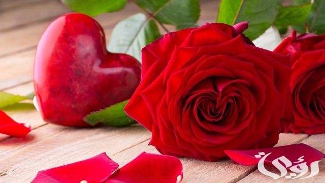 120 رسائل عبارات صباح الحب والشوق مكتوبة