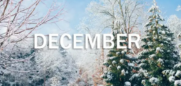 شهر ديسمبر أي شهر بالأرقام December الترتيب كام ؟ 1 شهر ديسمبر أي شهر بالأرقام December ؟