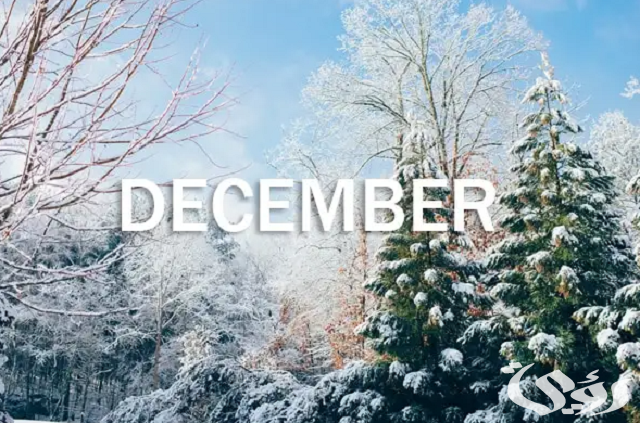 شهر ديسمبر أي شهر بالأرقام December الترتيب كام ؟