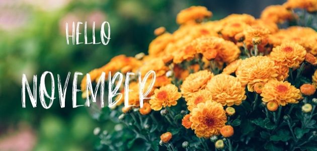 شهر نوفمبر November كم ترتيبه بالميلادي والهجري 1 شهر نوفمبر كم بالميلادي والهجري