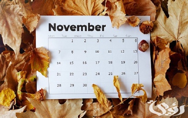 شهر نوفمبر أي شهر بالأرقام November الترتيب الكام ؟ شهر نوفمبر أي شهر بالأرقام November الترتيب الكام ؟