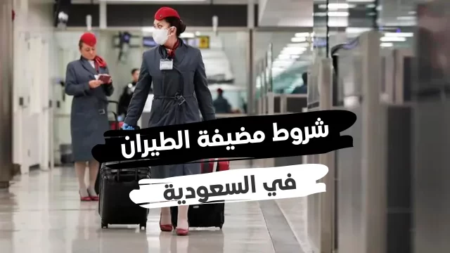 كم راتب مضيفة الطيران في الخطوط السعودية 2024