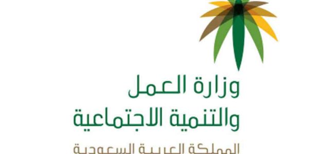 شرح الاستعلام عن صلاحية الإقامة بدون منصة أبشر 1447 1 شرح الاستعلام عن صلاحية الإقامة بدون منصة أبشر