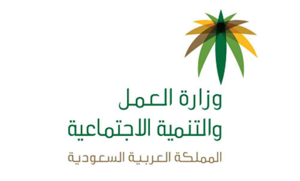 شرح الاستعلام عن صلاحية الإقامة بدون منصة أبشر 1447 5 شرح الاستعلام عن صلاحية الإقامة بدون منصة أبشر 1447