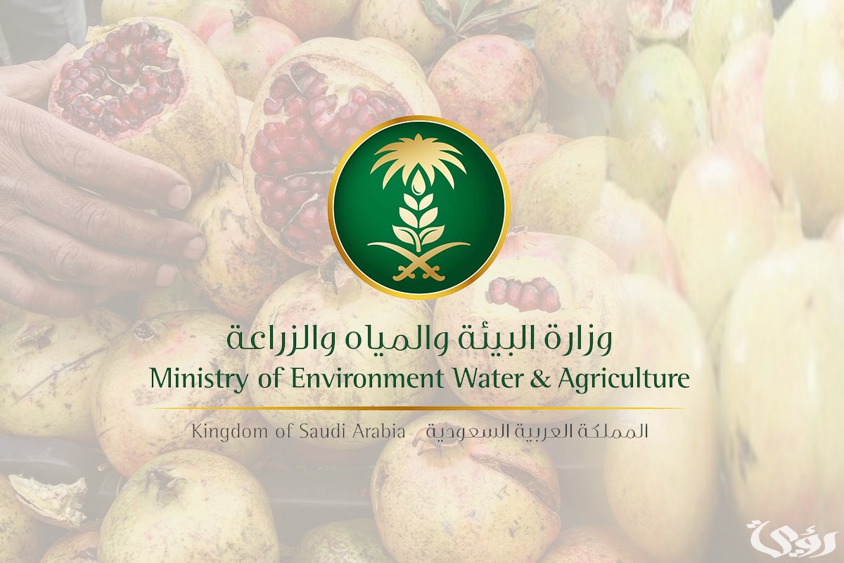 شرح خطوات تسجيل الدخول في برنامج دعم صغار مربي الماشية