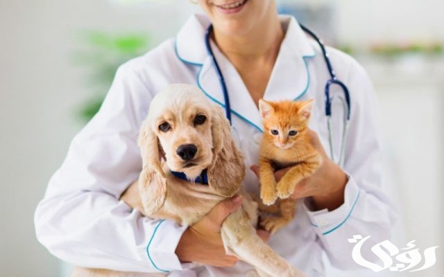 اقرب صيدلية بيطرية من موقعي اقرب صيدلية بيطرية من موقعي