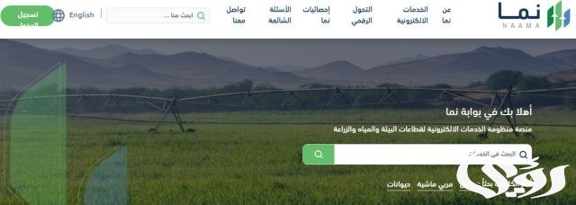 شروط دعم المواشي للنساء في السعودية