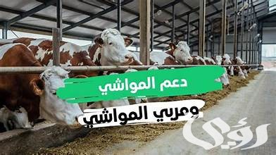 شرح خطوات تحديث بيانات دعم مربي المواشي