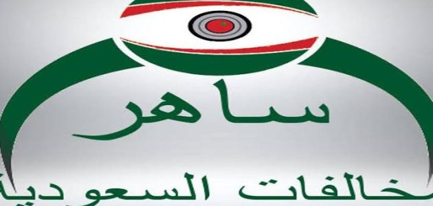 الفرق بين فلاش وفلاشين نظام ساهر 1 ما هو الفرق بين فلاش وفلاش نظام ساهر؟