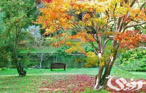 صور وأسماء أجمل حدائق العالم صور وأسماء أجمل حدائق العالم