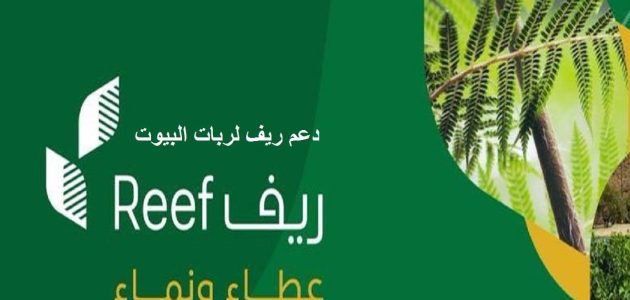 كم مبلغ دعم منصة ريف للمواطنين 1 كم مبلغ دعم منصة ريف للمواطنين