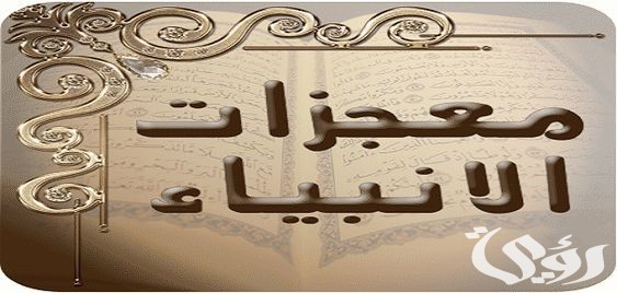 أسئلة دينية عن الأنبياء أسئلة دينية عن الأنبياء
