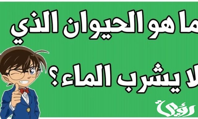 540 اسئلة عامة للكبار مع خيارات 2026 6 اسئلة عامة للمسابقات مع الجواب