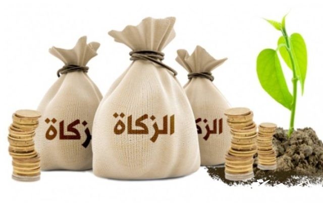 كم قيمة زكاة الفطر بالجنية المصري 2024 كم قيمة زكاة الفطر بالجنية المصري 2024
