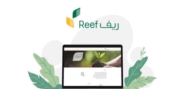 ريف يوضح خطوات الاستعلام عن دعم ريف للعاطلين بالخطوات وموعد الصرف 1 استعلام عن دعم ريف للعاطلين بالخطوات 1445 وموعد الصرف 2024