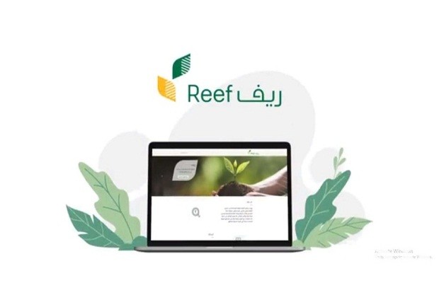 ريف يوضح خطوات الاستعلام عن دعم ريف للعاطلين بالخطوات وموعد الصرف 5 ريف يوضح خطوات الاستعلام عن دعم ريف للعاطلين بالخطوات وموعد الصرف