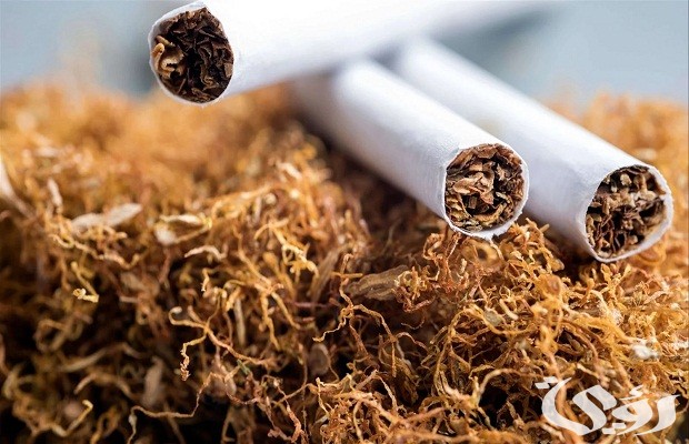 كم السجائر المسموح باستيرادها للفرد؟.. هيئة الضريبة تجيب